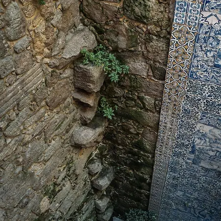 M Maison Particuliere